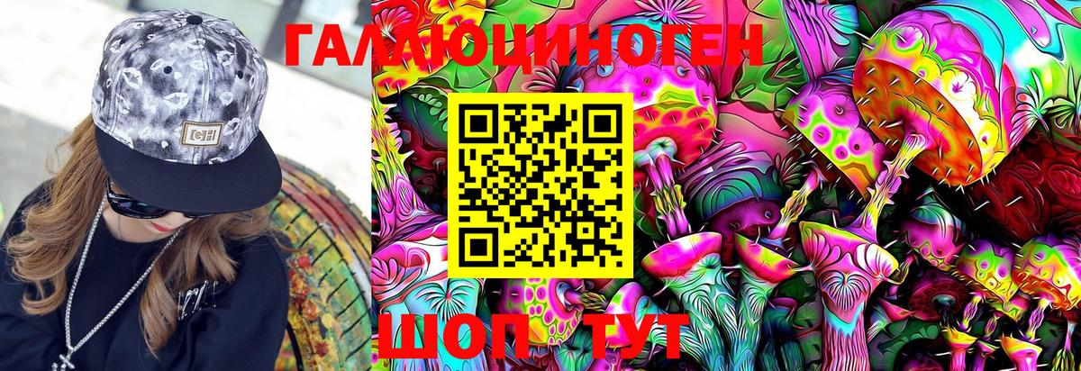 как найти   Вход с VPN  Алексин  Галлюциногенные грибы Magic Shrooms 