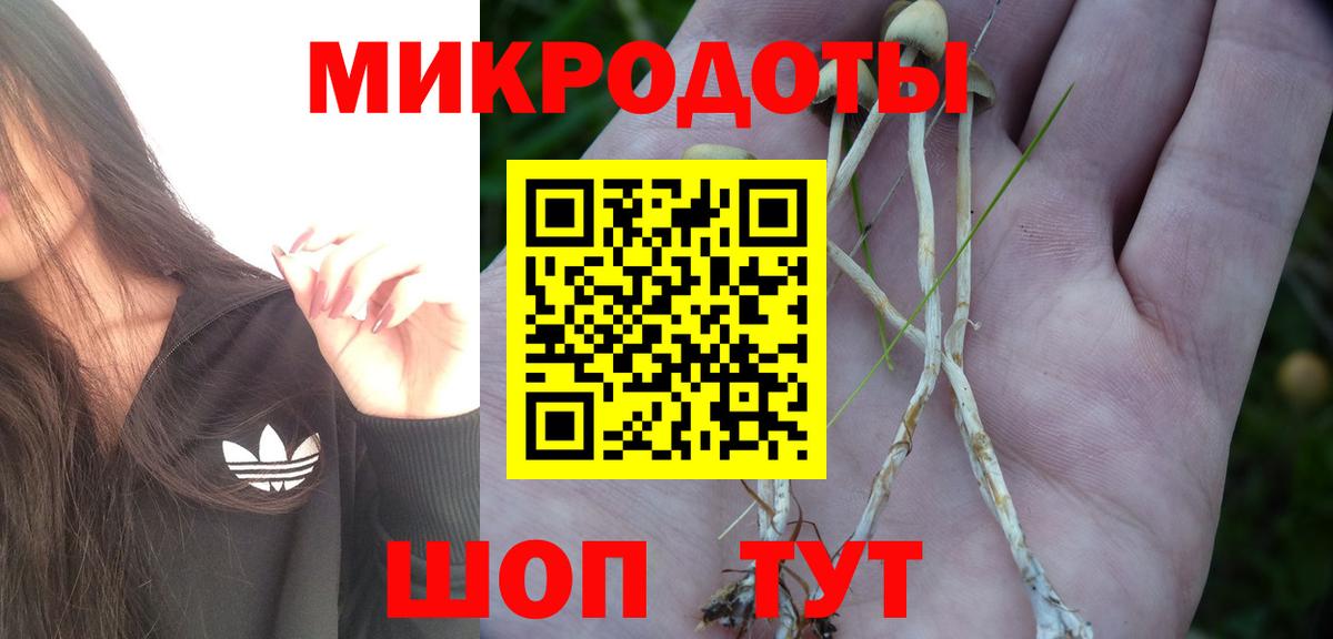 Псилоцибиновые грибы мухоморы Алексин